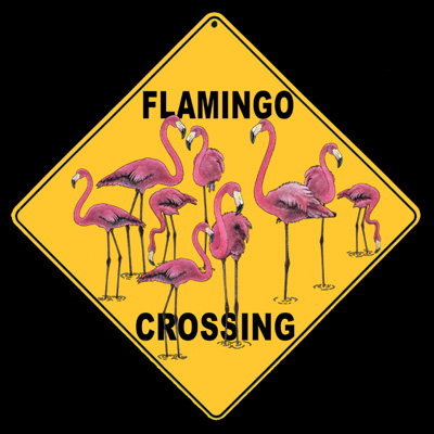 flamingo